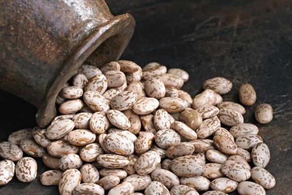 تصویر 5 از خرید و قیمت لوبیا چیتی تازه + فروش صادراتی
